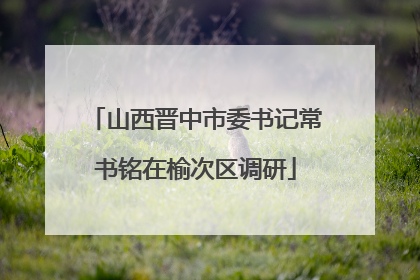 山西晋中市委书记常书铭在榆次区调研