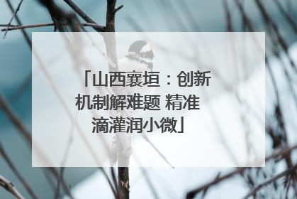 山西襄垣：创新机制解难题 精准滴灌润小微