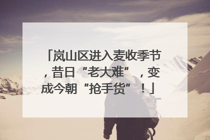 岚山区进入麦收季节，昔日“老大难”，变成今朝“抢手货”！