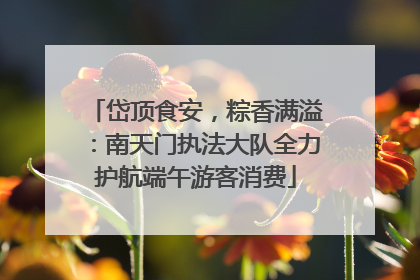 岱顶食安，粽香满溢：南天门执法大队全力护航端午游客消费