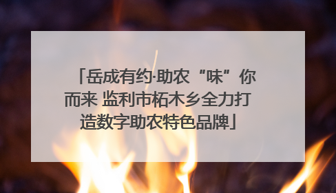 岳成有约·助农“味”你而来 监利市柘木乡全力打造数字助农特色品牌