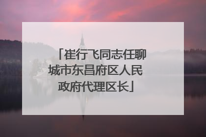 崔行飞同志任聊城市东昌府区人民政府代理区长