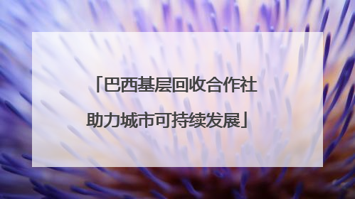 巴西基层回收合作社助力城市可持续发展