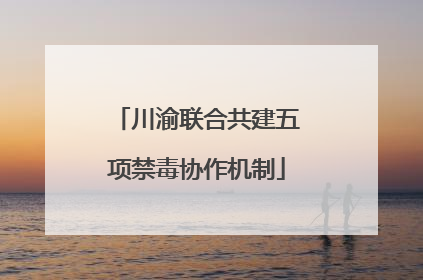 川渝联合共建五项禁毒协作机制