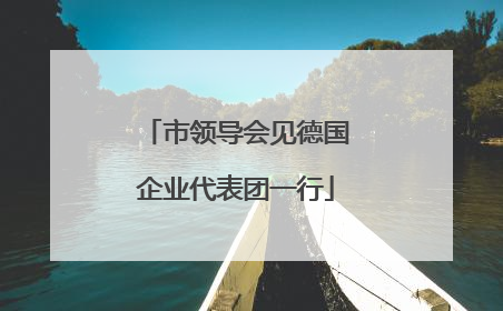 市领导会见德国企业代表团一行