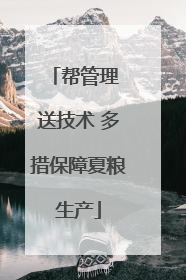 帮管理 送技术 多措保障夏粮生产