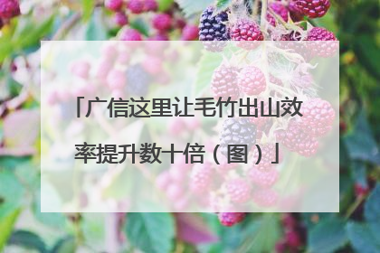 广信这里让毛竹出山效率提升数十倍（图）