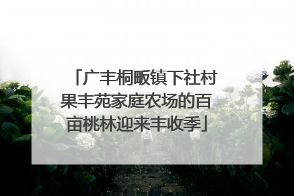 广丰桐畈镇下社村果丰苑家庭农场的百亩桃林迎来丰收季