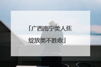 广西南宁美人蕉绽放美不胜收