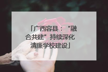 广西容县：“融合共建”持续深化清廉学校建设
