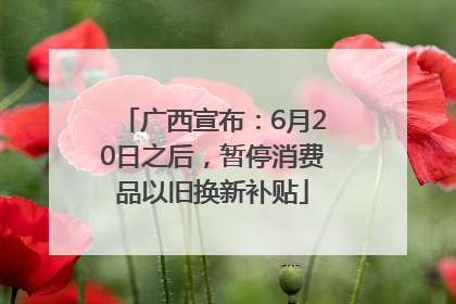 广西宣布：6月20日之后，暂停消费品以旧换新补贴