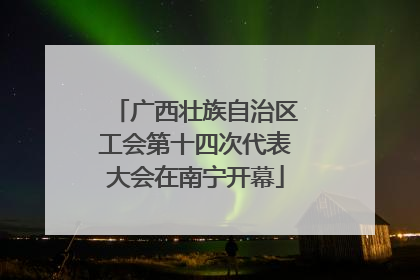 广西壮族自治区工会第十四次代表大会在南宁开幕