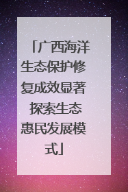 广西海洋生态保护修复成效显著 探索生态惠民发展模式