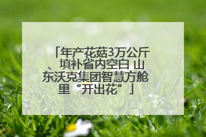 年产花菇3万公斤、填补省内空白 山东沃克集团智慧方舱里“开出花”