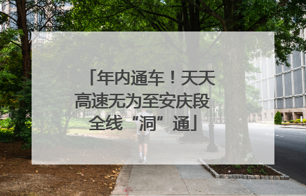 年内通车！天天高速无为至安庆段全线“洞”通