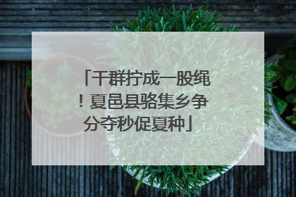 干群拧成一股绳！夏邑县骆集乡争分夺秒促夏种