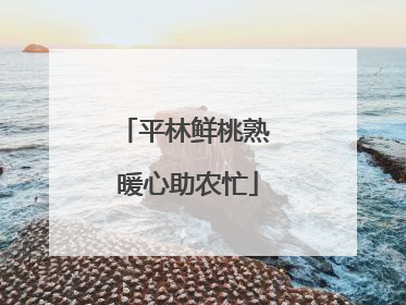 平林鲜桃熟 暖心助农忙