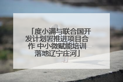 度小满与联合国开发计划署推进项目合作 中小微赋能培训落地辽宁庄河