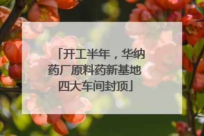 开工半年，华纳药厂原料药新基地四大车间封顶