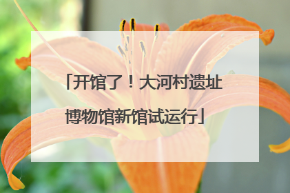 开馆了！大河村遗址博物馆新馆试运行