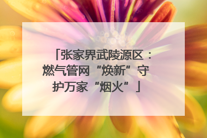 张家界武陵源区：燃气管网“焕新”守护万家“烟火”