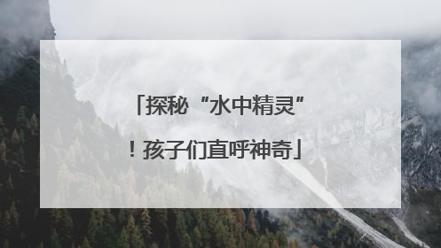 探秘“水中精灵”！孩子们直呼神奇