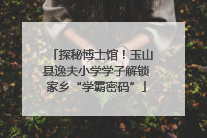 探秘博士馆！玉山县逸夫小学学子解锁家乡“学霸密码”