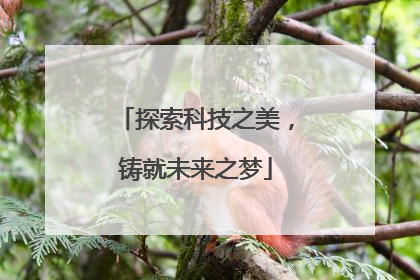 探索科技之美，铸就未来之梦
