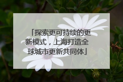 探索更可持续的更新模式，上海打造全球城市更新共同体
