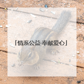 情系公益·奉献爱心