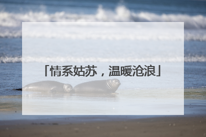 情系姑苏，温暖沧浪
