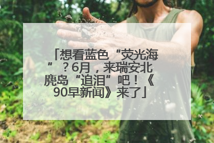 想看蓝色“荧光海”？6月，来瑞安北麂岛“追泪”吧！《90早新闻》来了