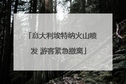 意大利埃特纳火山喷发 游客紧急撤离