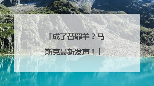 成了替罪羊？马斯克最新发声！