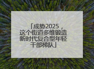 成势2025，这个街道多维锻造新时代复合型年轻干部梯队