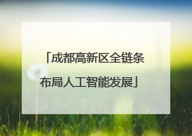 成都高新区全链条布局人工智能发展