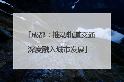 成都：推动轨道交通深度融入城市发展