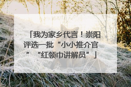 我为家乡代言！崇阳评选一批“小小推介官”“红领巾讲解员”