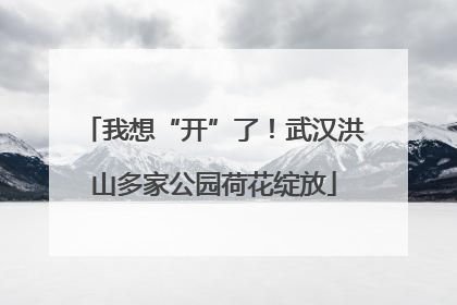 我想“开”了！武汉洪山多家公园荷花绽放