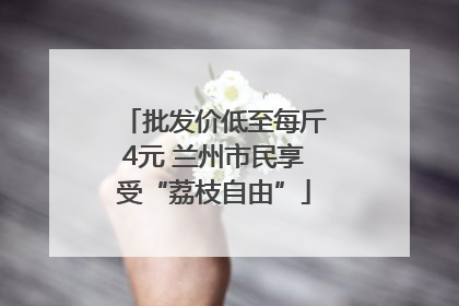 批发价低至每斤4元 兰州市民享受“荔枝自由”