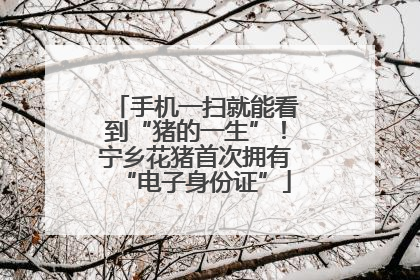 手机一扫就能看到“猪的一生”！宁乡花猪首次拥有“电子身份证”