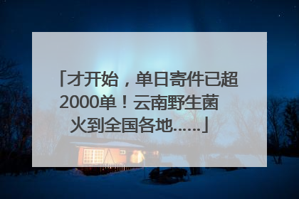 才开始，单日寄件已超2000单！云南野生菌火到全国各地……