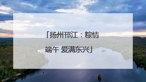 扬州邗江：粽情端午 爱满东兴