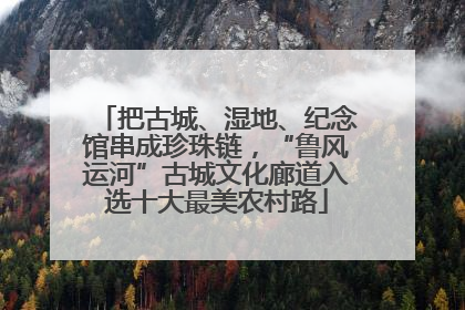 把古城、湿地、纪念馆串成珍珠链，“鲁风运河”古城文化廊道入选十大最美农村路