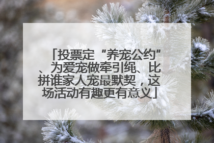 投票定“养宠公约”、为爱宠做牵引绳、比拼谁家人宠最默契，这场活动有趣更有意义