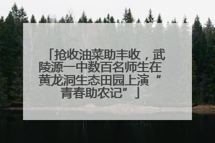 抢收油菜助丰收，武陵源一中数百名师生在黄龙洞生态田园上演“青春助农记”