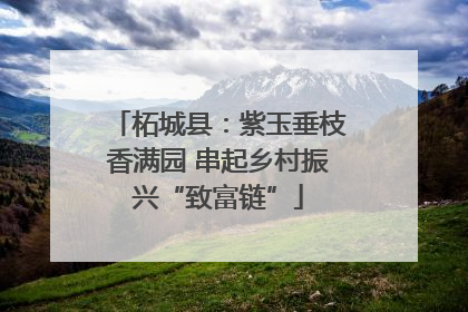 柘城县：紫玉垂枝香满园 串起乡村振兴“致富链”