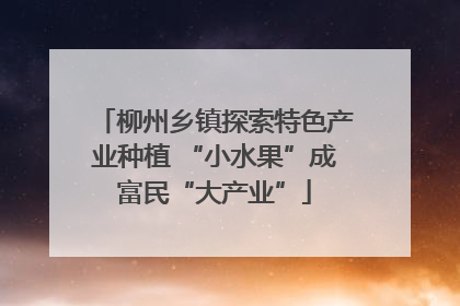 柳州乡镇探索特色产业种植 “小水果”成富民“大产业”