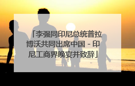 李强同印尼总统普拉博沃共同出席中国－印尼工商界晚宴并致辞