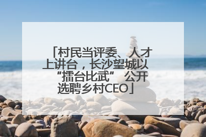 村民当评委、人才上讲台，长沙望城以“擂台比武” 公开选聘乡村CEO